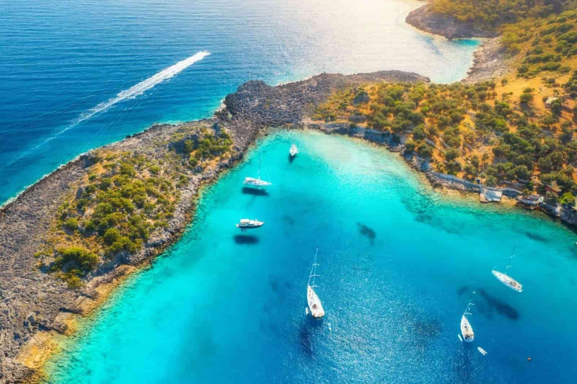 Akvaryum Koyu Turu